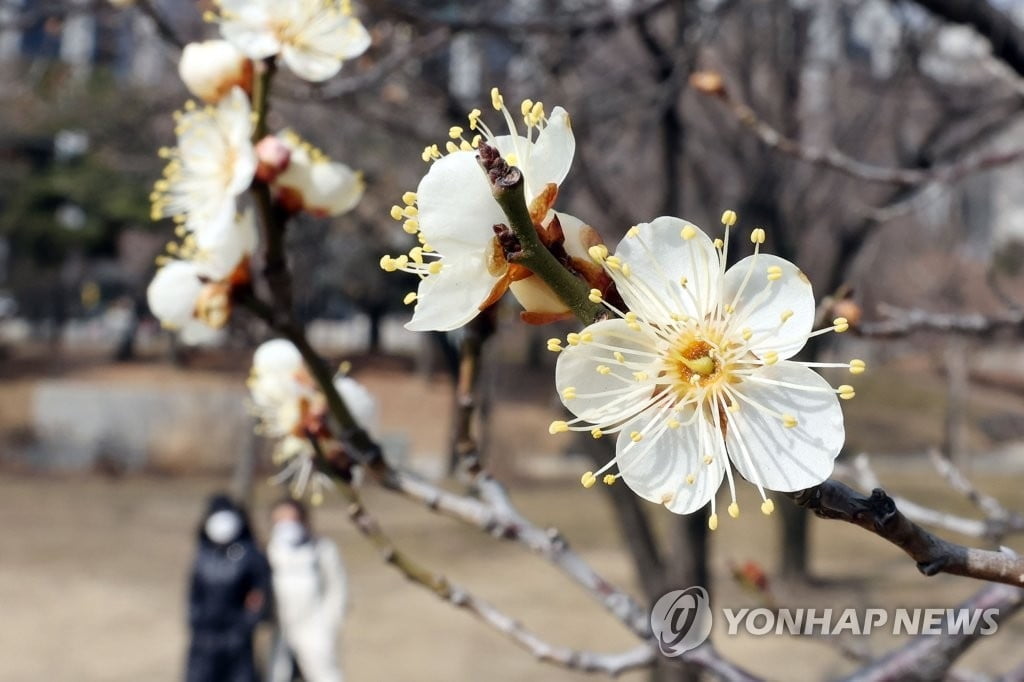 전국에 가끔 구름...15도 이상 큰 일교차 주의