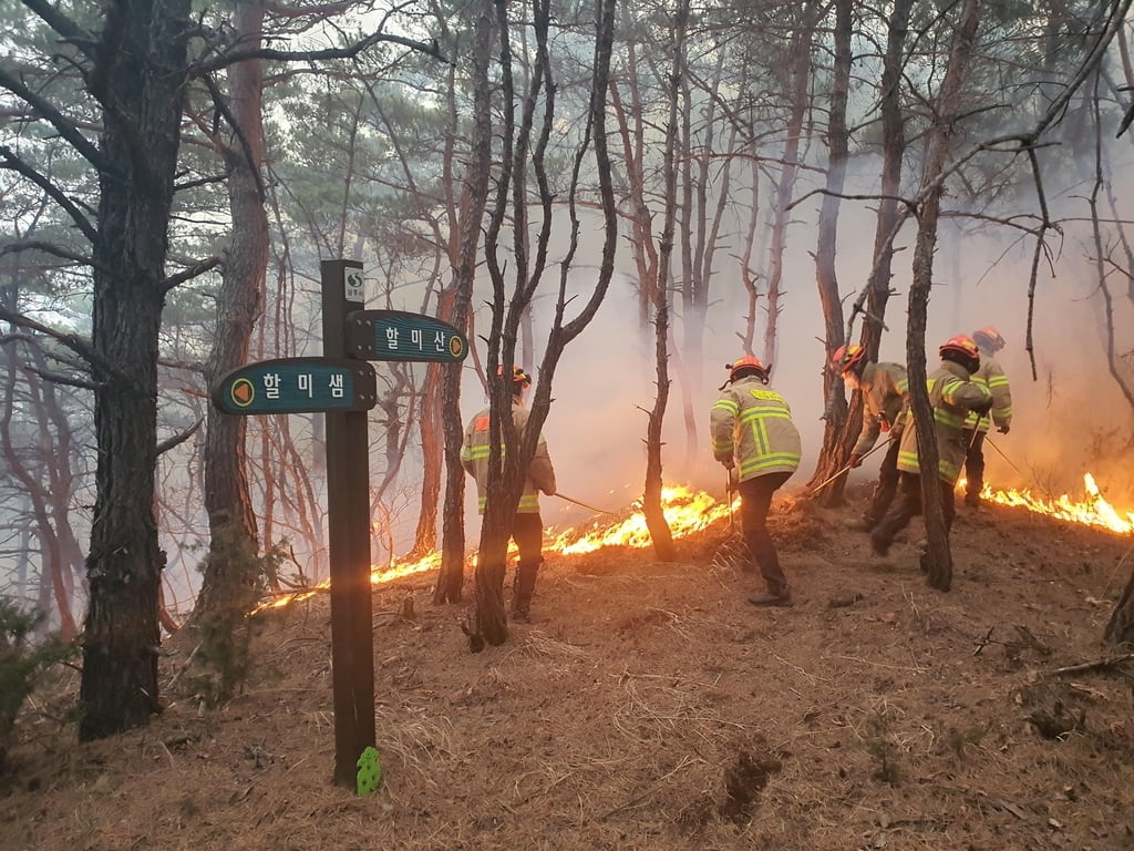 상주 산불, 강풍 타고 확산…인력 1,000명 투입 야간 진화