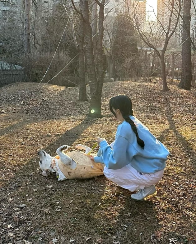 '전진♥' 류이서, 양갈래 머리의 소녀 감성 유부녀…귀여운 강아지에 "꺄"