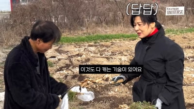 '김승현父' 김언중, 동네 밭에서 "인삼, 심봤다!"…♥백옥자 "시끄러" 호통('김승현가족')