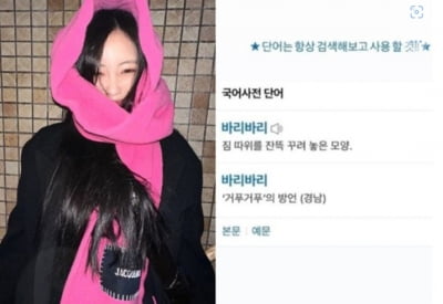 효민, 일베 논란후 버릇은...단어는 항상 검색할것