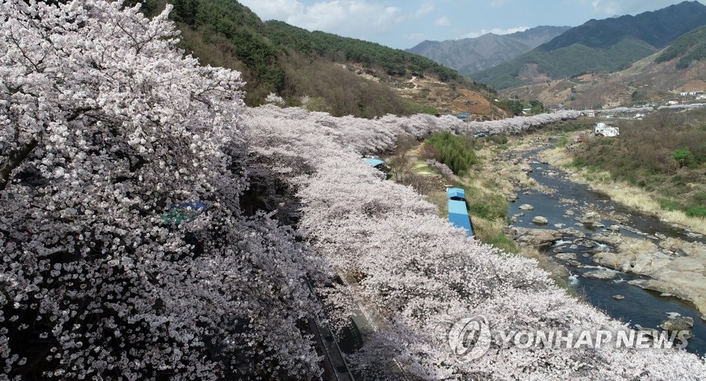 [세계가 반한 우리 차]①'세계중요농업유산' 차 1번지 경남 하동