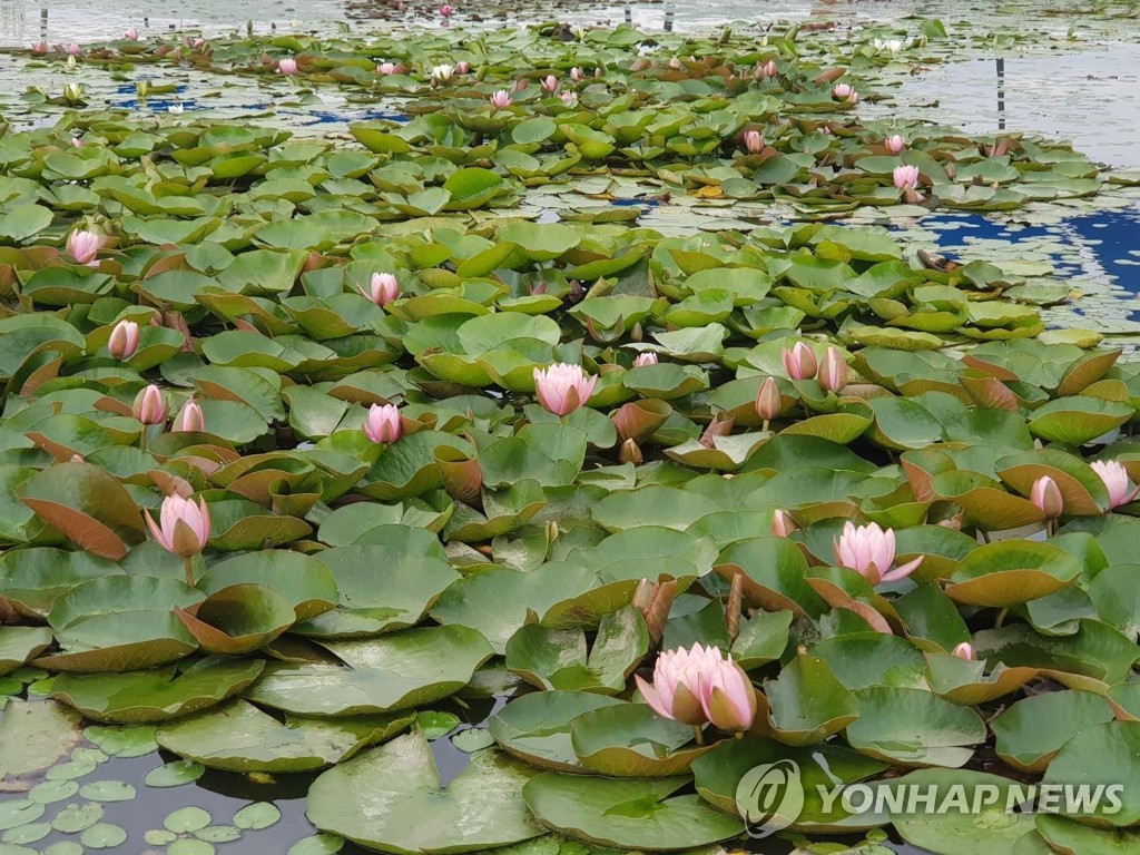 계절별·테마별로 즐기는 시흥시티투어, 오는 18일 운영 시작