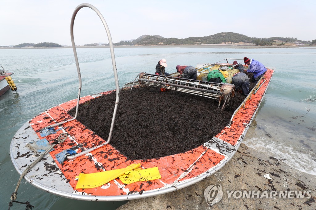 해수부, 김산업 진흥구역에 서천군·신안군·해남군 선정