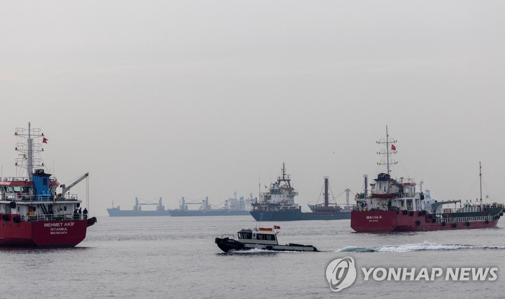 흑해곡물협정 연장 하루 만에 '이견'…중재역 튀르키예 "협상중"