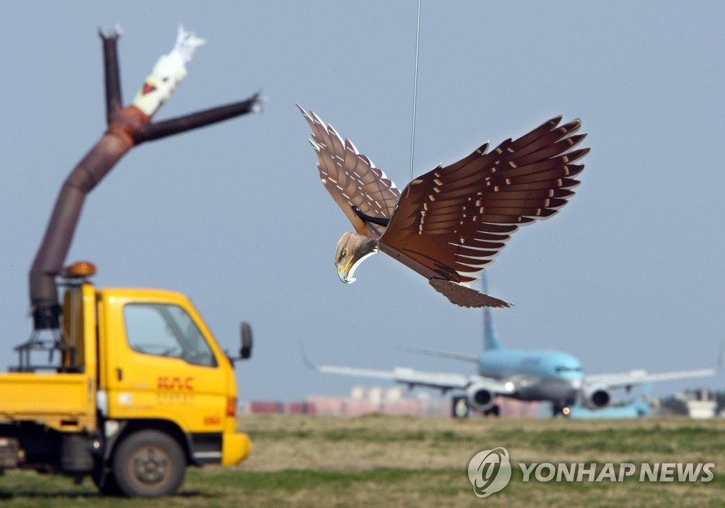 [제주공항 사람들] ⑬"종다리야, 떼까마귀야~ 공항에 놀러 오면 위험해!"