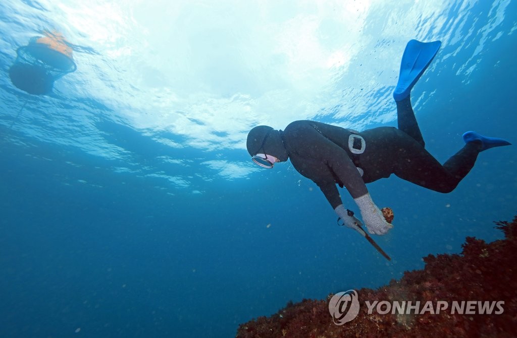 '제주해녀어업' FAO 세계중요농어업유산 등재 재추진