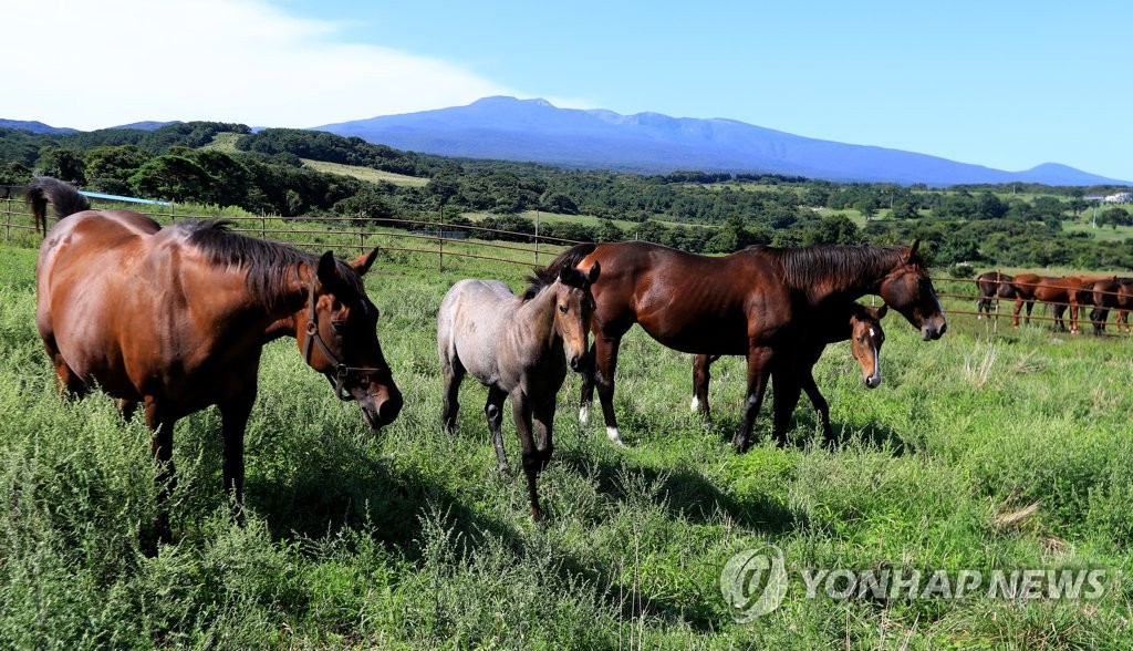 [다시! 제주문화] (55)"한라산 신령께 비옵니다…나라를 보살펴주소서"