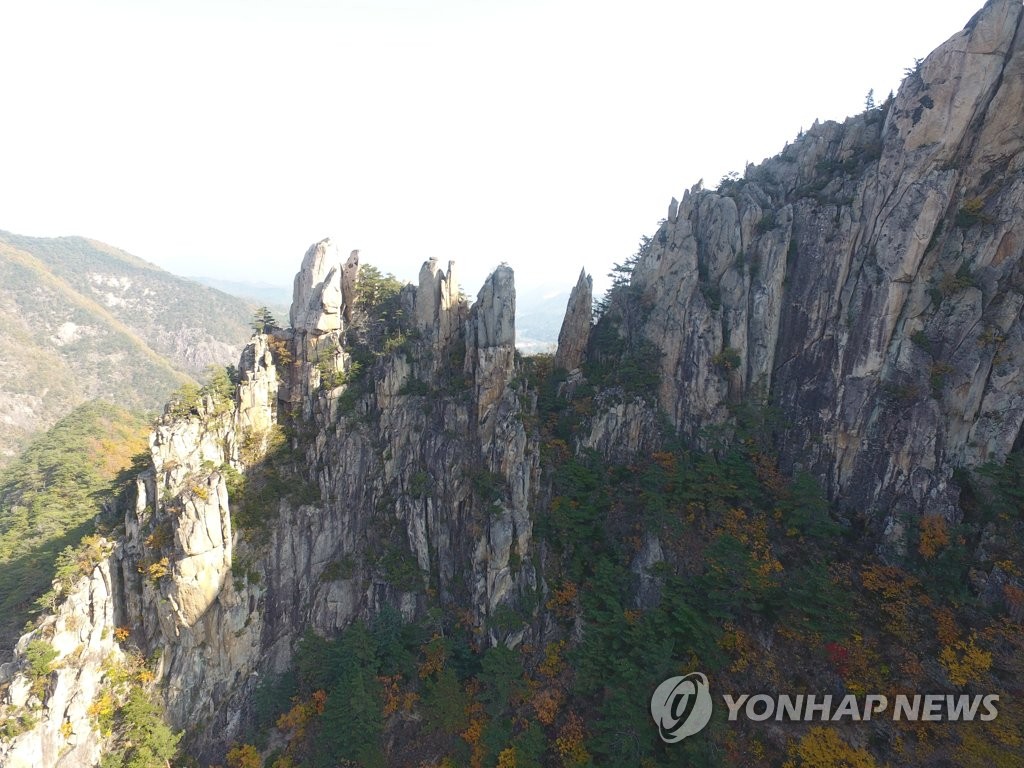 '숨은 비경' 무릉계곡 접근성 높인다…동해시, 2개 등산로 신설