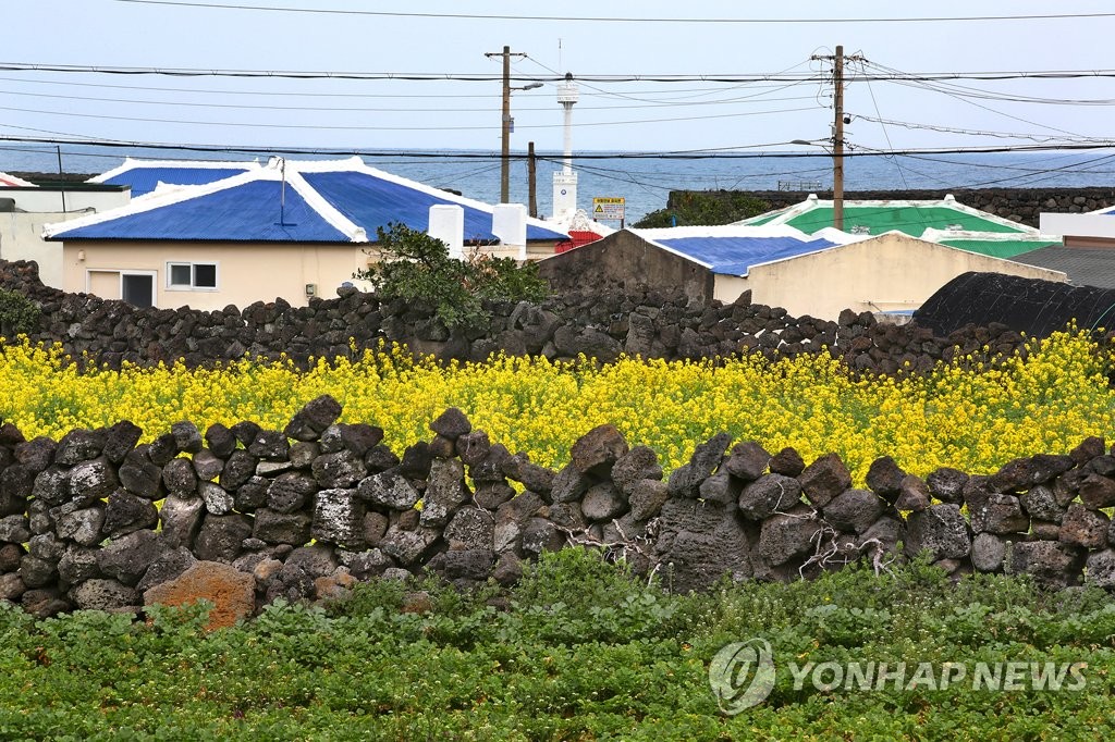 [제주날씨100년] ⑦ 돌·여자·바람 많다는 삼다도, 정말로 바람 많이 불까