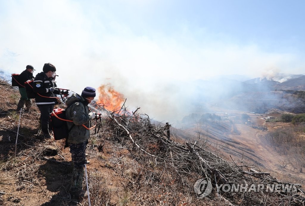 강릉시, 산림 재해 예방 총력전…153억원 투입