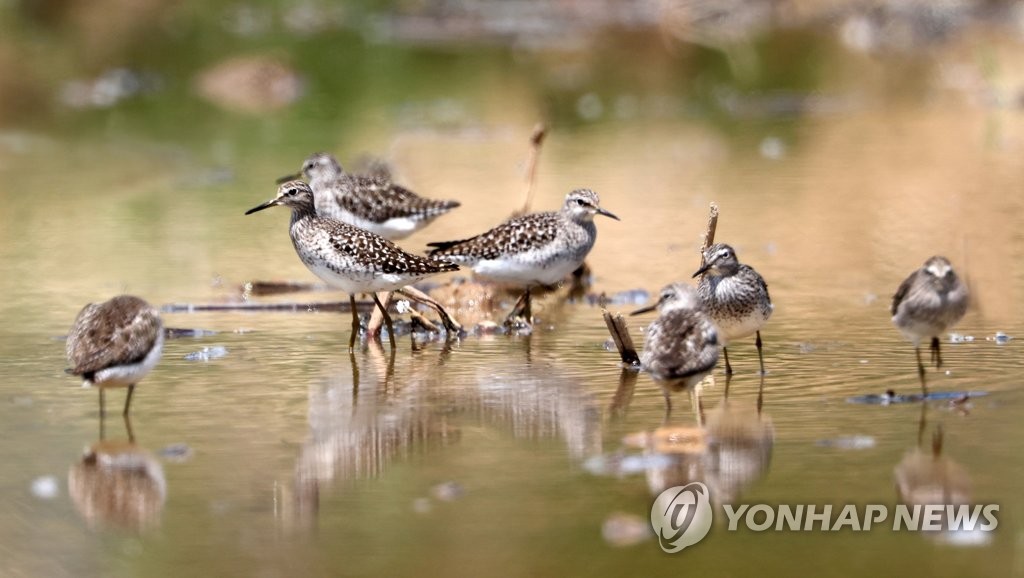 창원시, 9일부터 주남저수지 탐방로 전면 개방