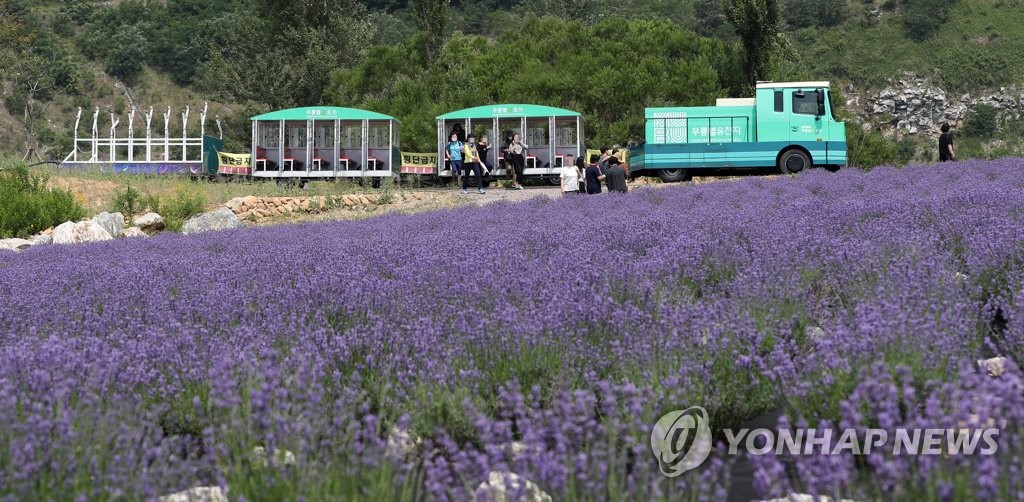 동해시 '지역관광 추진조직' 2년 연속 선정…도내 유일