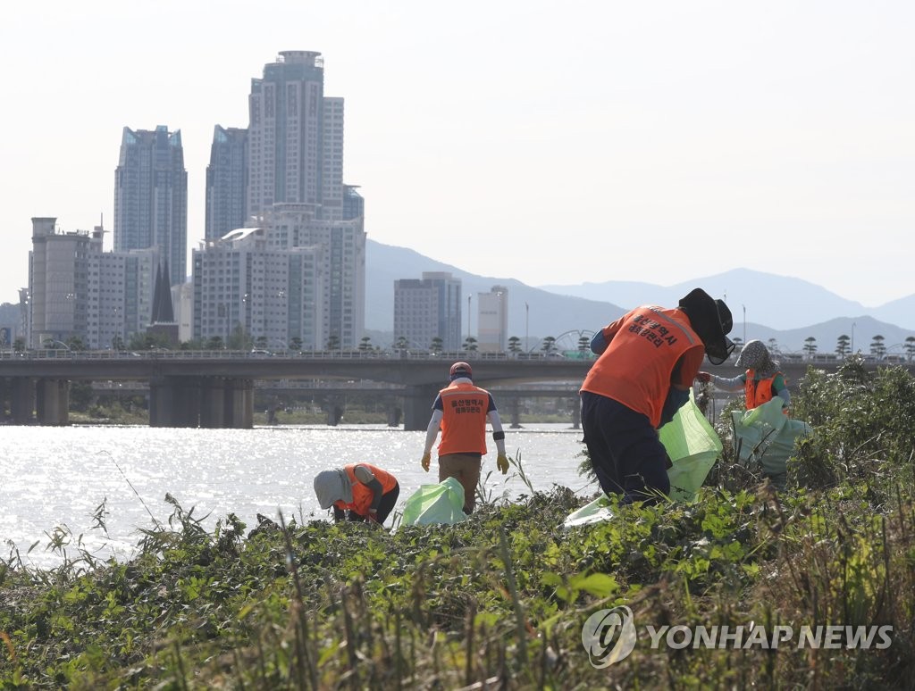 울산 주요 하천 조류독소 물질 '안전'