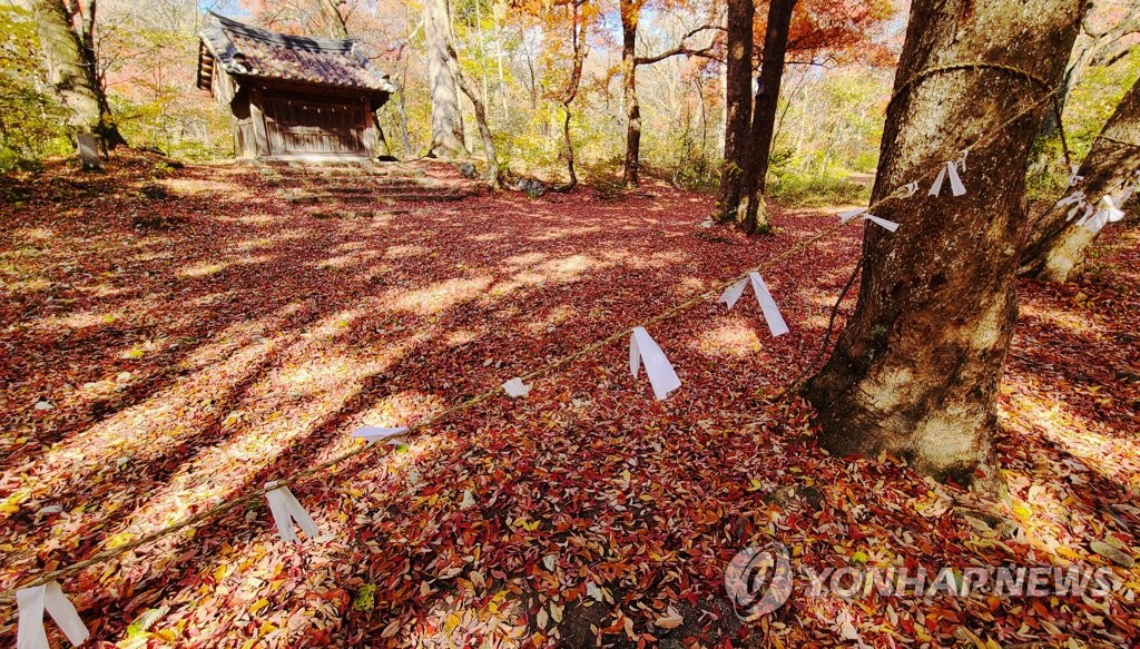 '신들의 숲'에 초대받은 원주혁신도시 공공기관…체험 행사 진행