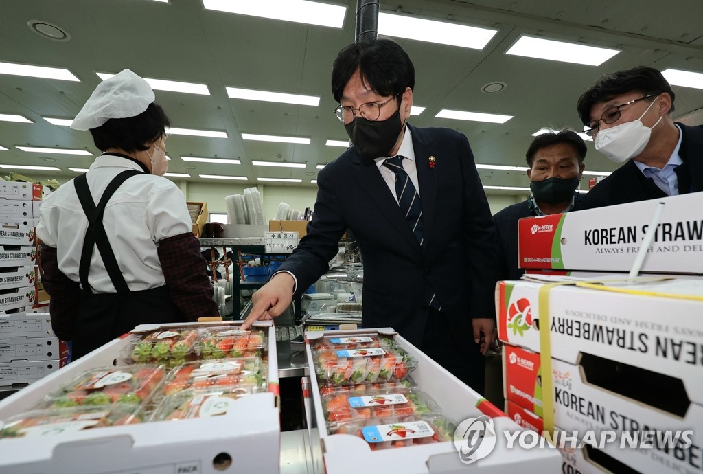 [다시 뛰는 경남농업] ④ 세계인 입맛 사로잡은 '진주 딸기'