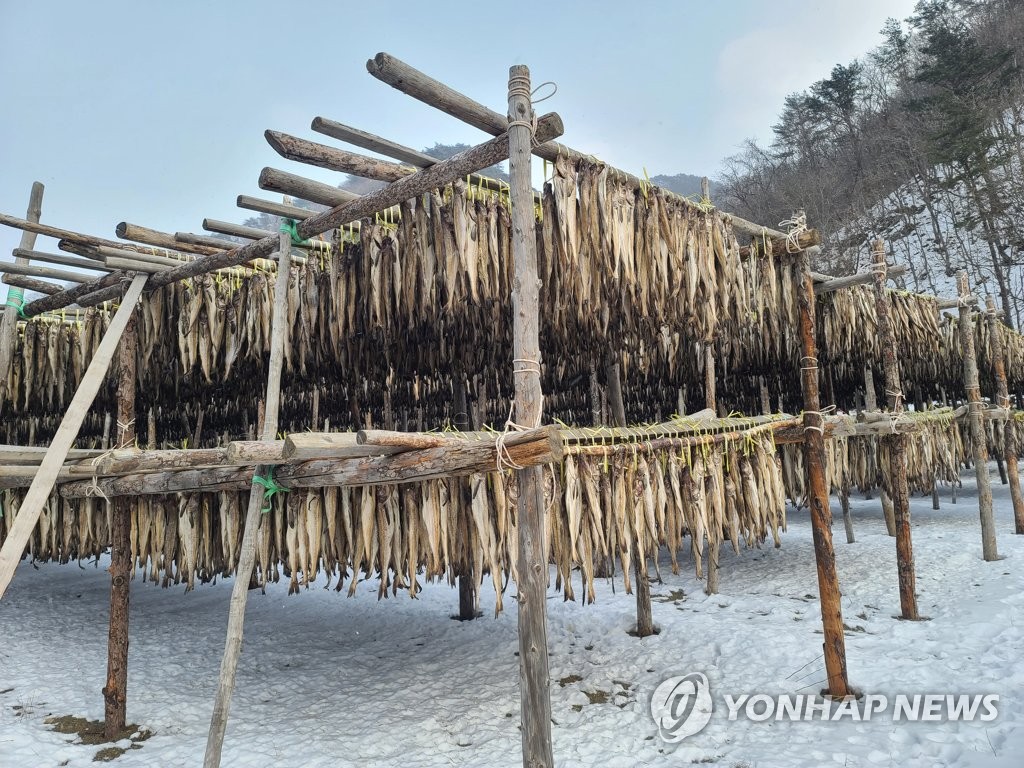 [고침] 사회(지난겨울 '이례적으로 추웠다가, 더웠다가'…)