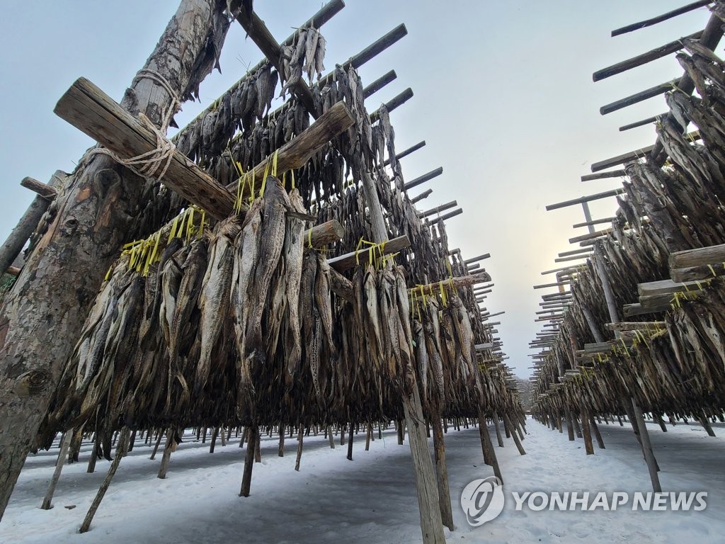 지난겨울 '이례적으로 추웠다가, 더웠다가' 기온변동 극심