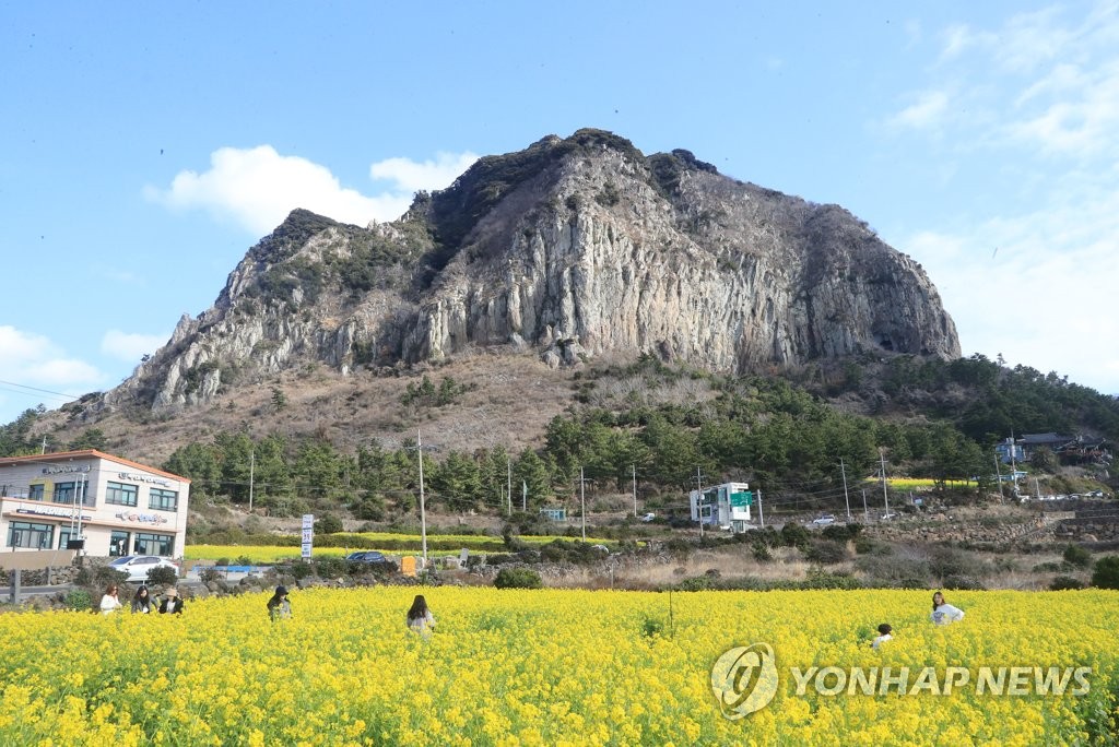 "다시 ON 제주 봄"…제주관광협회 캠페인 돌입