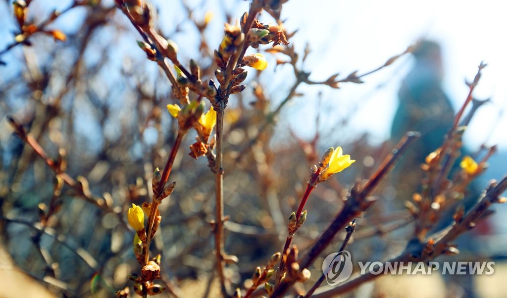 전북 맑다가 오후부터 구름…낮 최고 13도