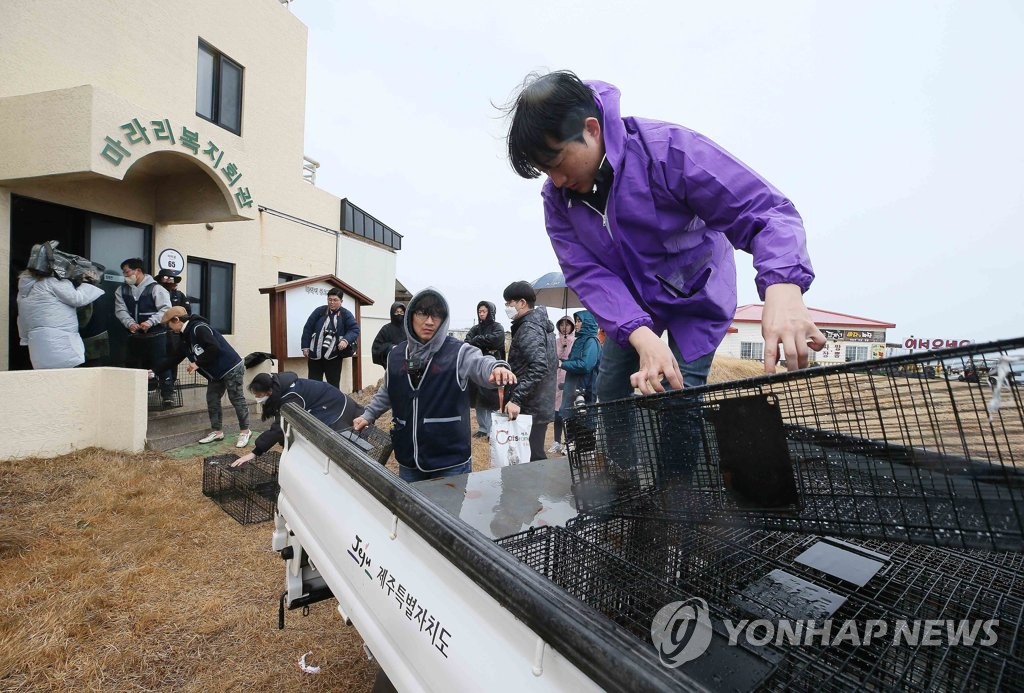 한참을 망설이던 마라도 길고양이…"포획 틀 안으로 쏙~"