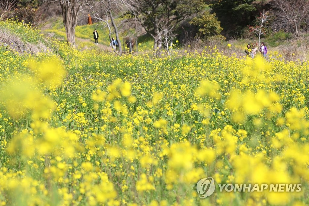 제주 구름 많다가 맑아져…낮 최고 12∼16도