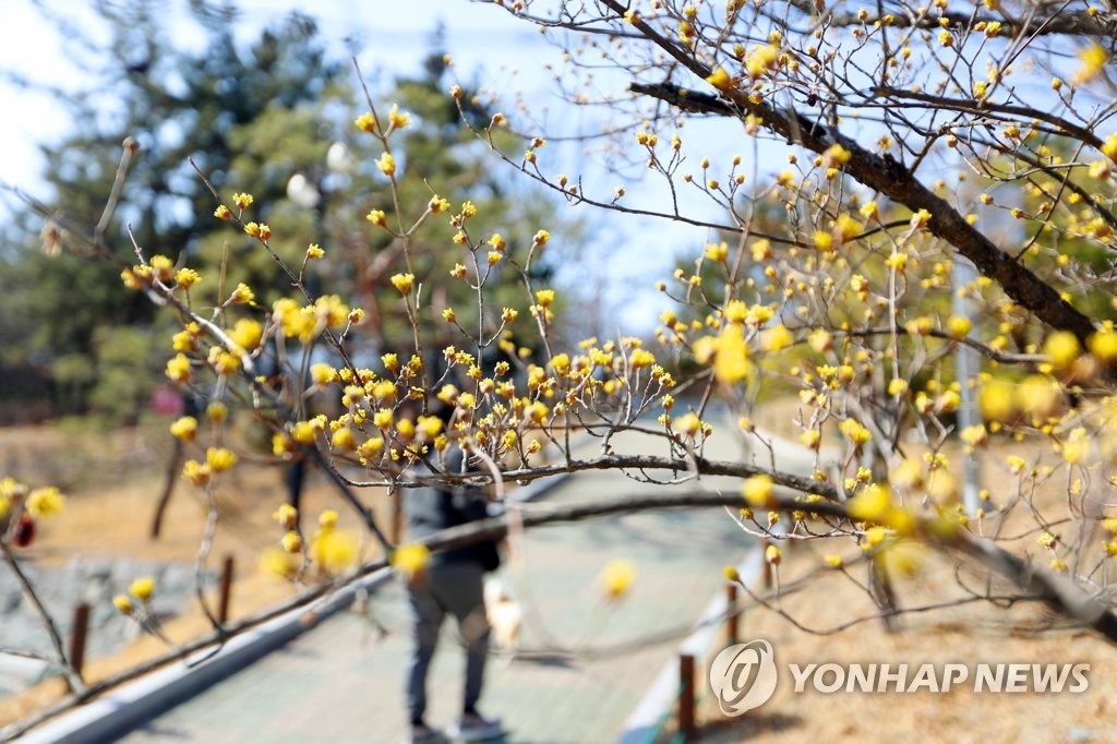 [날씨] 짙어지는 봄기운 속 곳곳 미세먼지