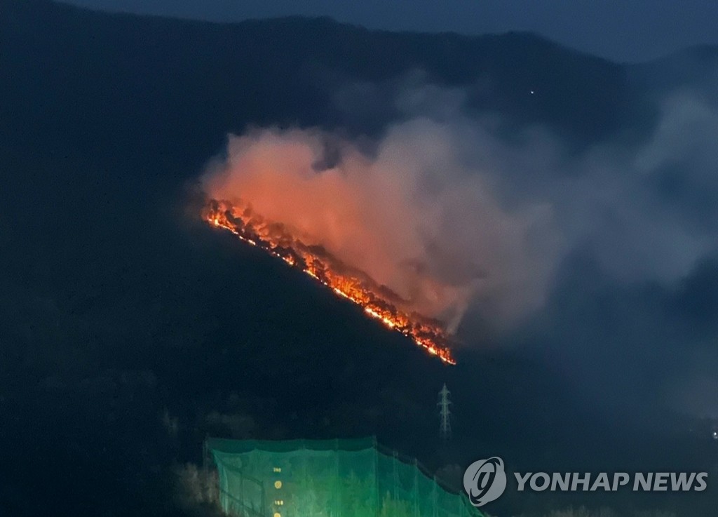 대구 남구 앞산 불 4시간여만에 주불 진화…4㏊ 소실 추정(종합)