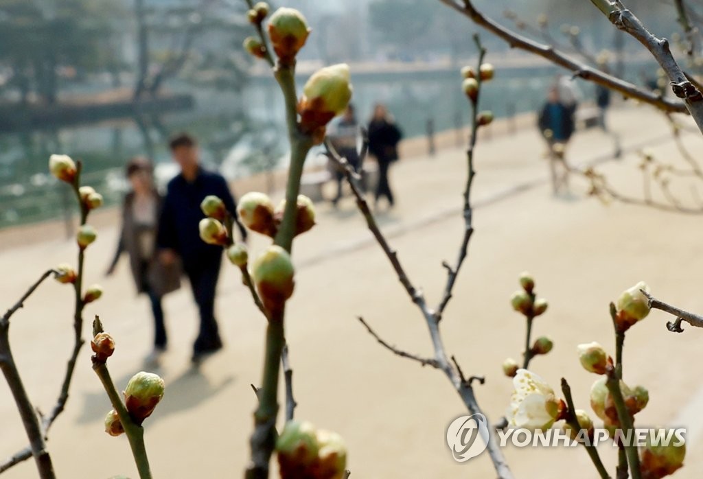 [날씨] 포근한 봄날, 개구리 기지개…서울 낮 16도