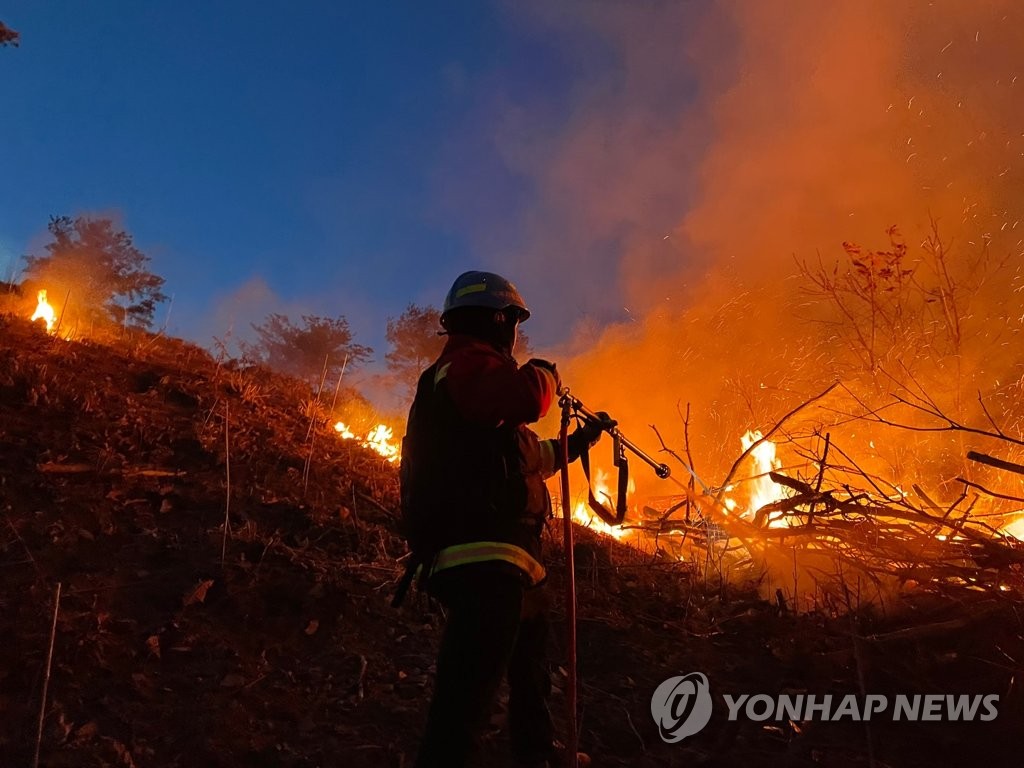 올해 산불 벌써 195건, 평년의 1.5배…산림 인근서 소각 금지