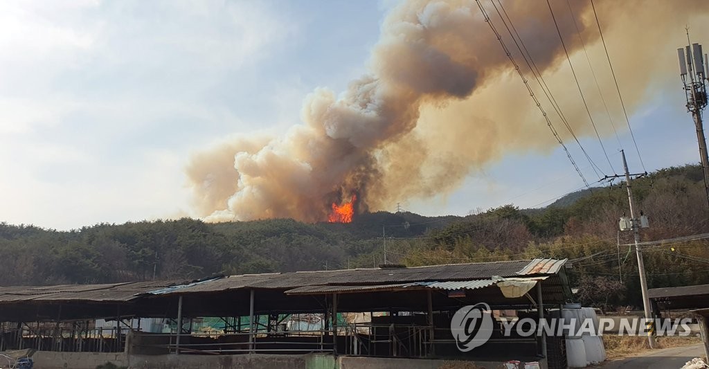 합천 산불 '대응 2단계' 4개 마을, 80여명 대피…계속 번져(종합)