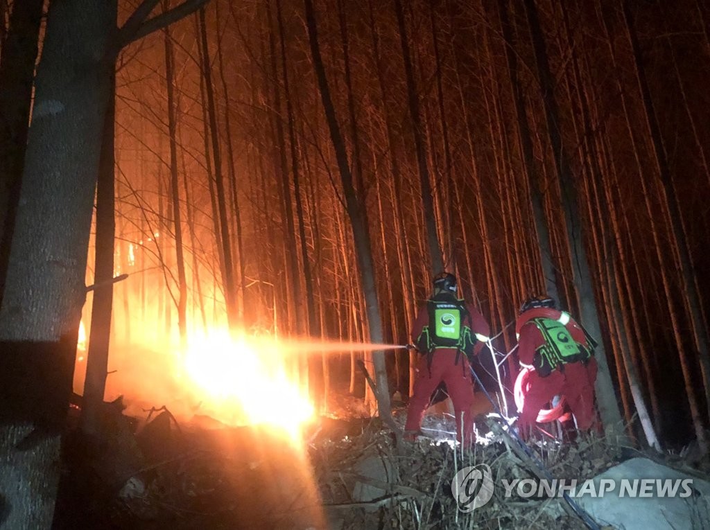 산불 56%는 건조하고 바람 강한 봄철에…올해 이미 250건 넘어