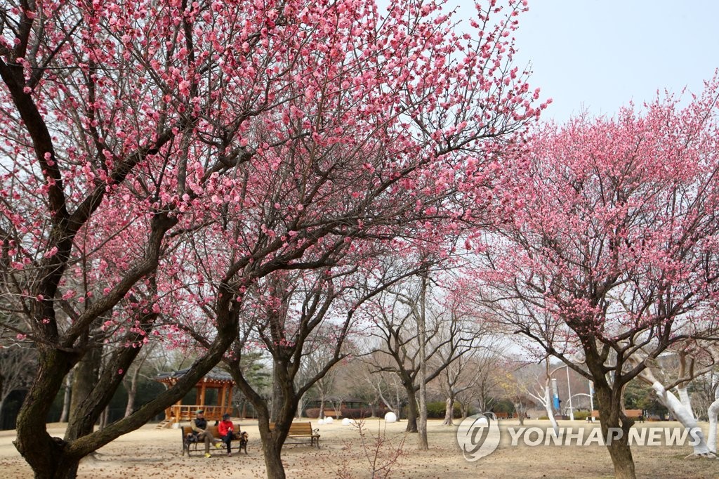 [내일날씨] 완연한 봄…중부 미세먼지 '나쁨'