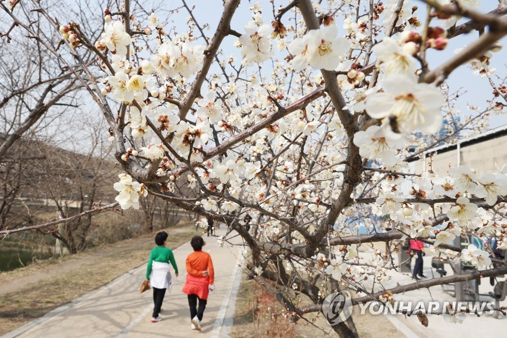 [내주날씨] 내내 '맑음'…13~14일 아침 '꽃샘추위'