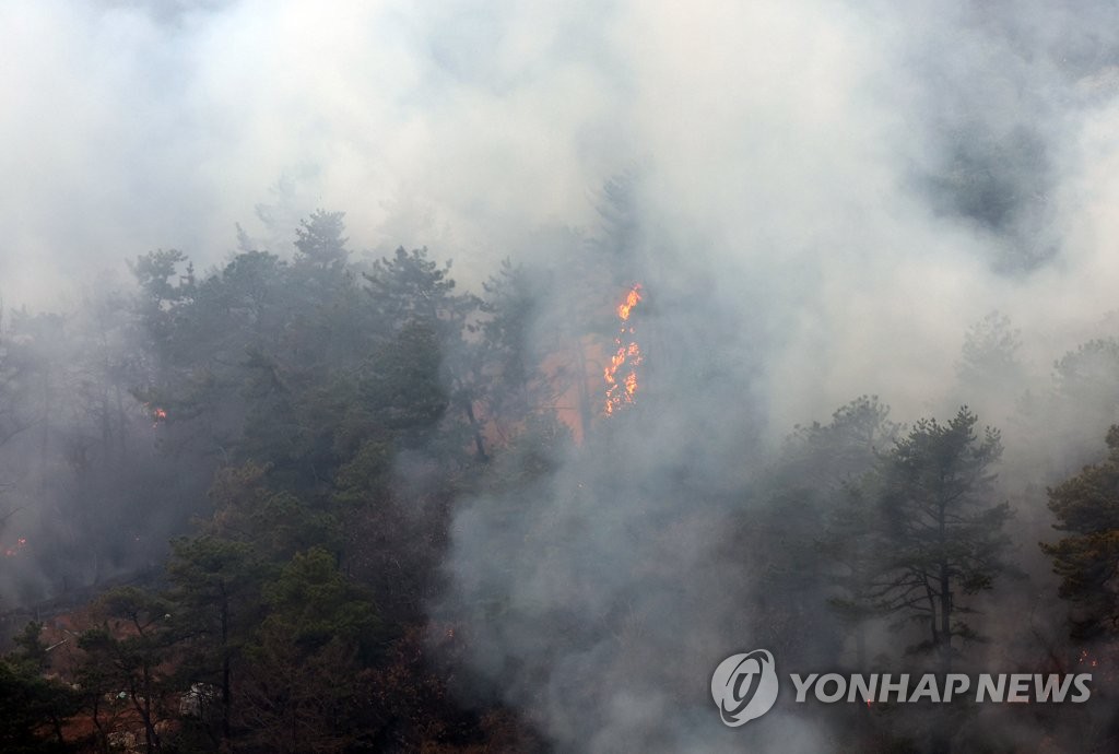 "훨훨 타며 무섭게 다가와" 광주 운암산 산불에 주민들 발 동동