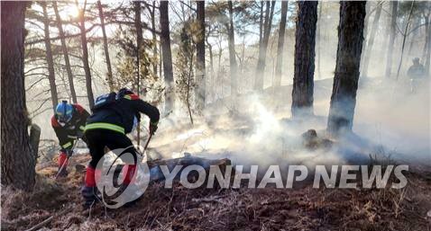 화재 자주 발생하는 계절은 '봄'…원인은 '담배꽁초'