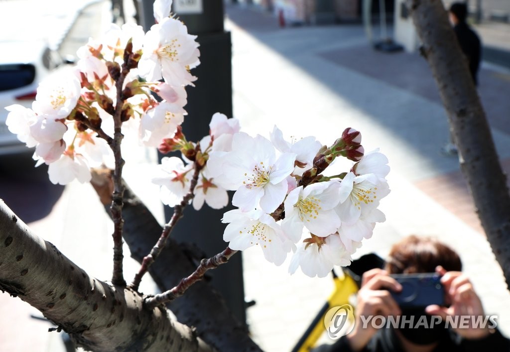 일교차 크고 건조한 날씨…낮 최고 18도