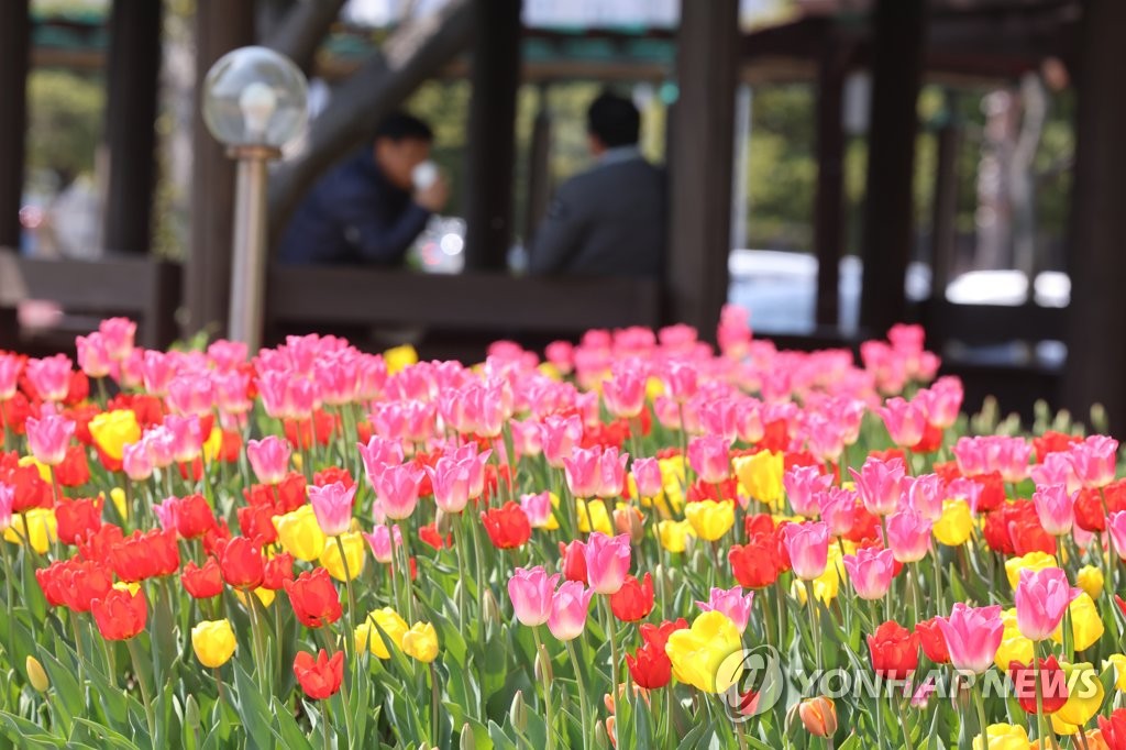 전국 대부분에 건조주의보…중부지방 내일 아침 '영하'