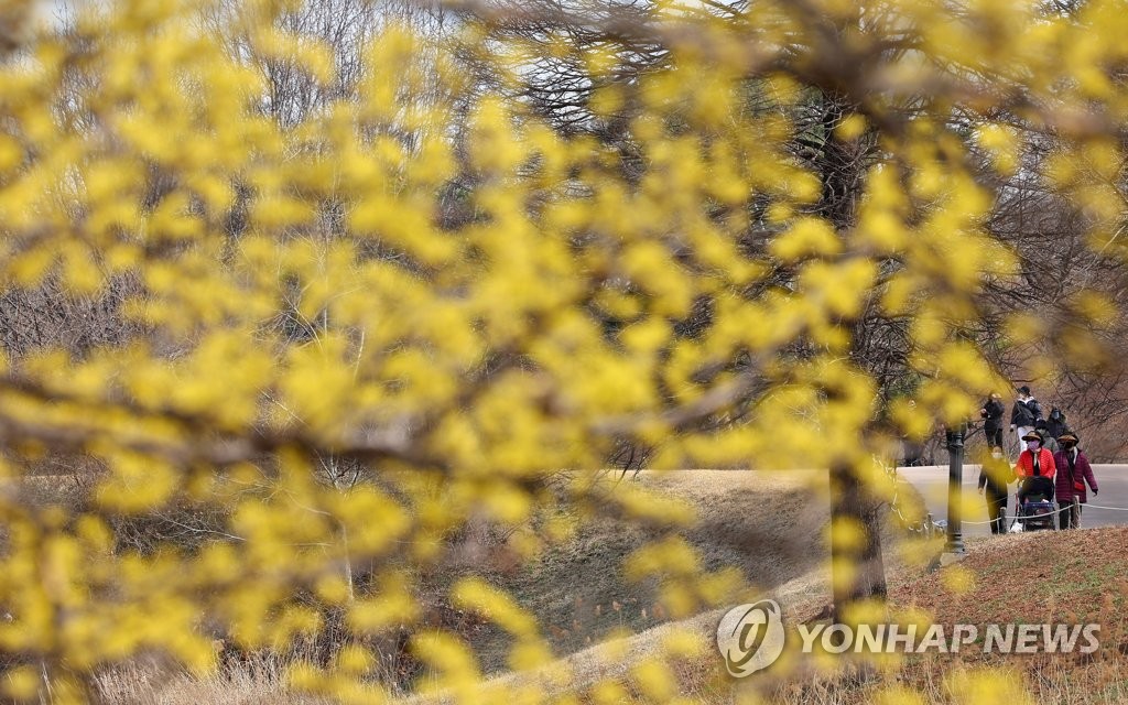 활짝 핀 벚꽃에 북적인 상춘객…마스크 없이 봄내음 만끽