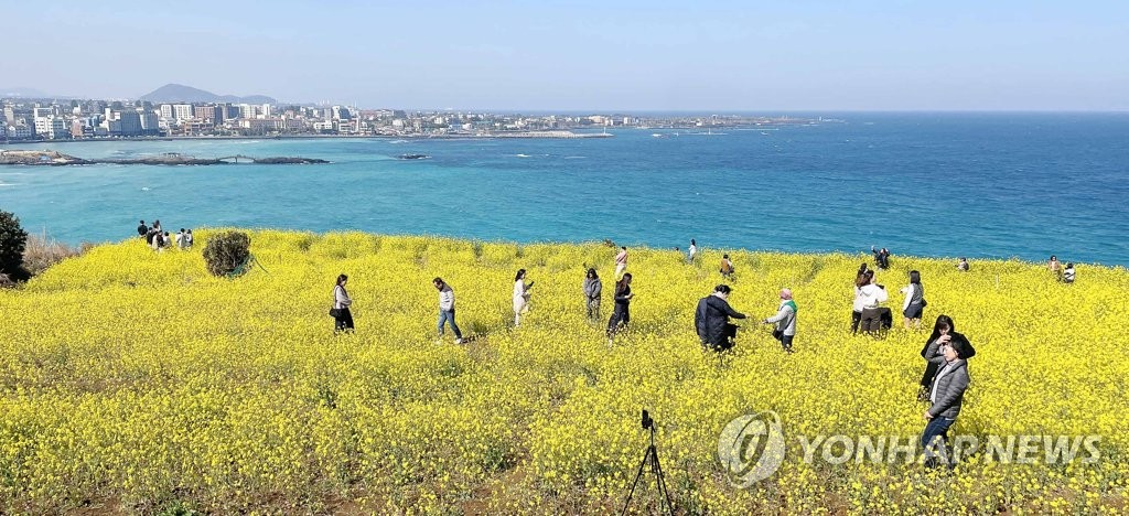 울긋불긋 봄꽃에 흠뻑 빠져들다…전국 산과 바다 '북적'