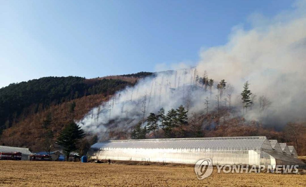 건조주의보 속 전국 13곳서 산불…정선서 주민 1명 화상