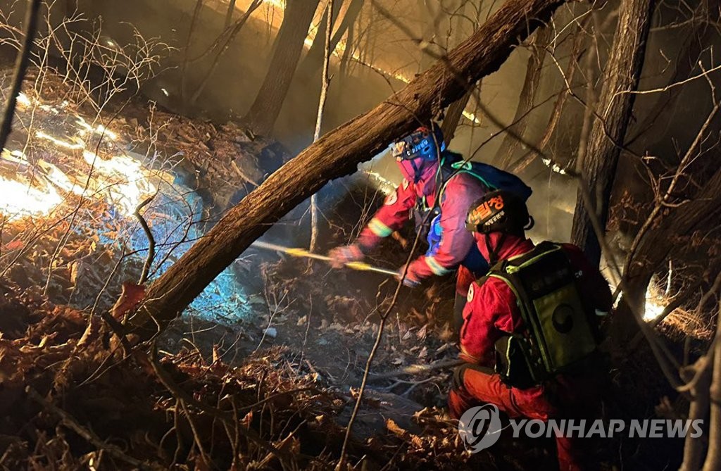 강원 평창 산불 약 9시간 만에 진화…15㏊ 소실(종합)