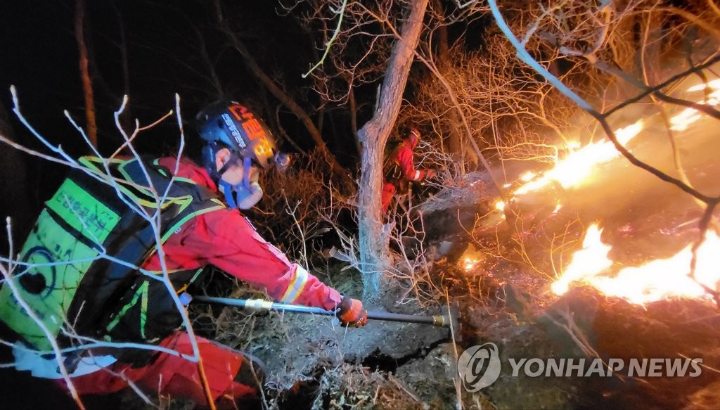 강원 평창 산불 약 9시간 만에 진화…15㏊ 소실(종합)