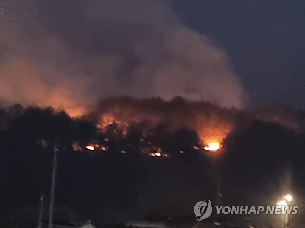 보성서 산불…0.1ha 태우고 5시간 만에 진화(종합)