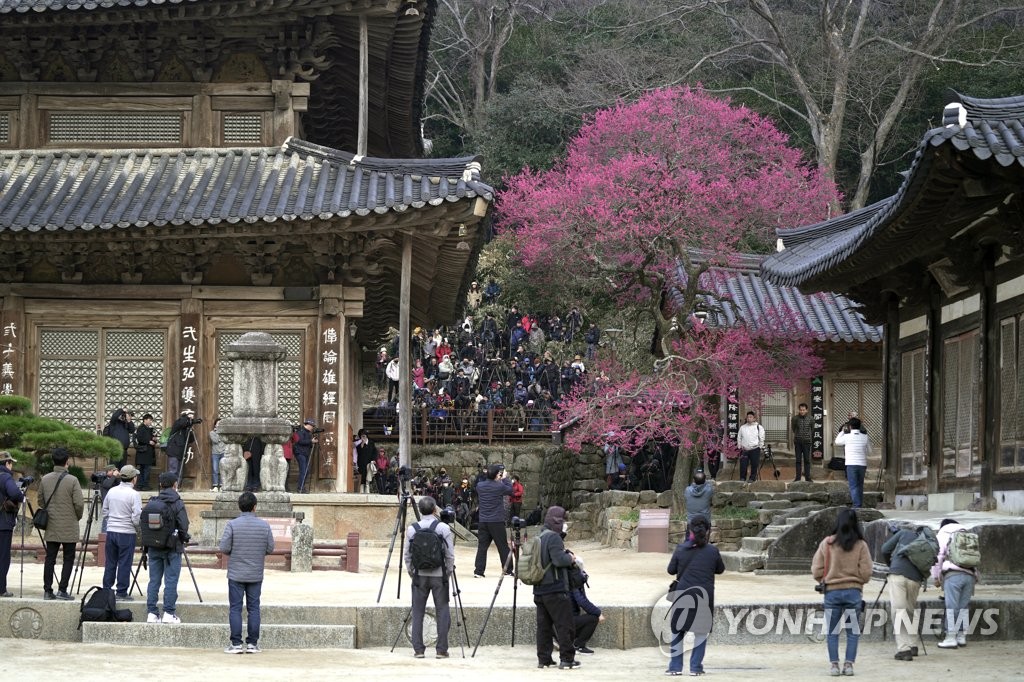 포근한 봄 날씨에 나들이객 북적…스키장에선 막바지 질주