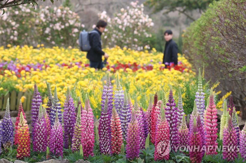 제주·남해안에 봄비…수도원·충남·전북 미세먼지 '나쁨'