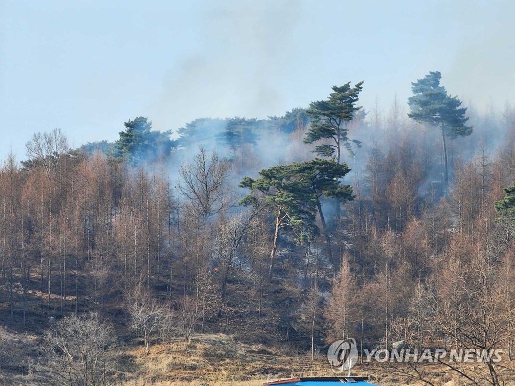 원주 소초면 인근 야산서 산불…헬기 투입해 진화 중