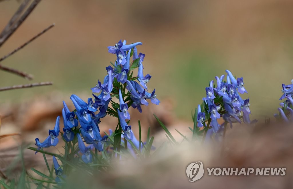 강한 햇볕에 강원 영월 27.6도·정선 26도…올해 들어 가장 따뜻