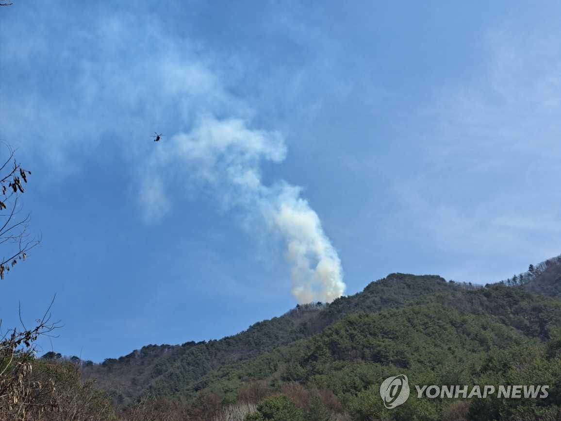 양구 산불 약 4시간 만에 진화…화천 군 사격장 화재는 70% 완료(종합)