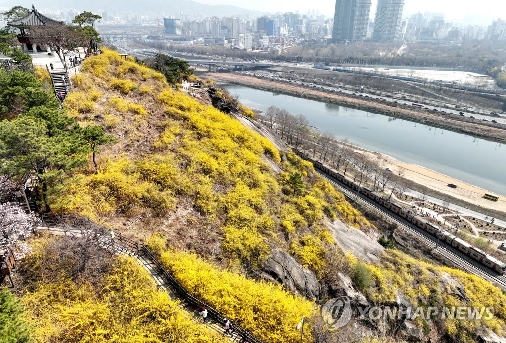 [날씨] 봄비 내리다 오후에 그쳐…수도권 미세먼지 '나쁨'